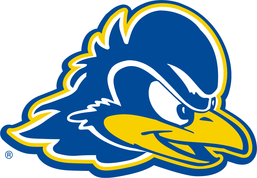 Delaware Blue Hens 2009-2018 Secondary Logo v2 iron on transfers for T-shirts